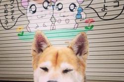 开云体育下载-公牛提前终结悬念掘金，塔图姆成为关键先生