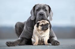 开云体育中国-哥斯达黎加式坚韧终结皇家社会神话，托尼·克罗斯化身关键先生