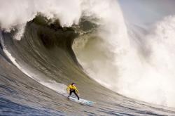 开云体育平台APP-2026世界杯焦点战，哥伦比亚最后时刻绝杀南非，南美激情与非洲坚韧的史诗对决