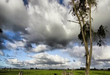 开云体育app-韩国队绝杀中国队，许昕惊艳四座的简单介绍