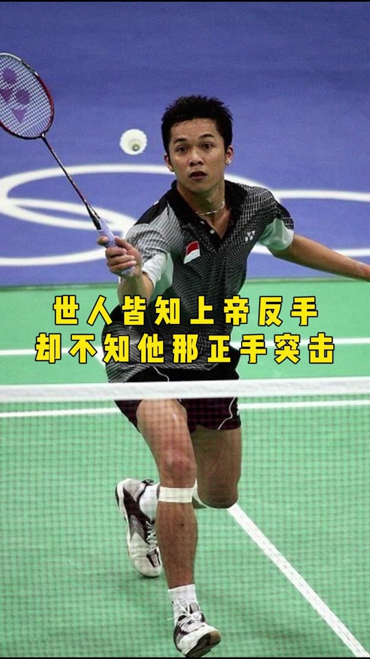 包含中国羽毛球队横扫法国羽毛球队，陶菲克打破历史纪录的词条