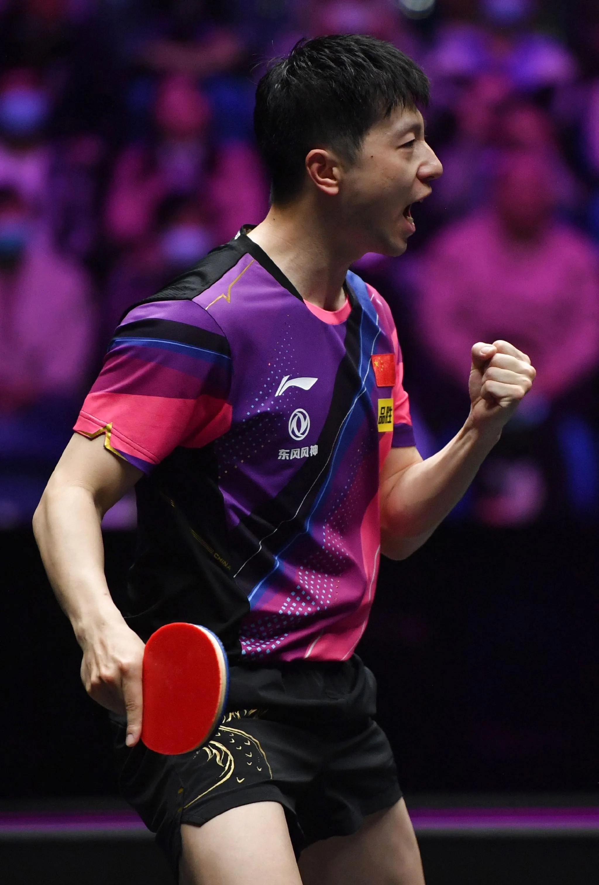 德国乒乓球队轻取日本乒乓球队，马龙高光表现的简单介绍