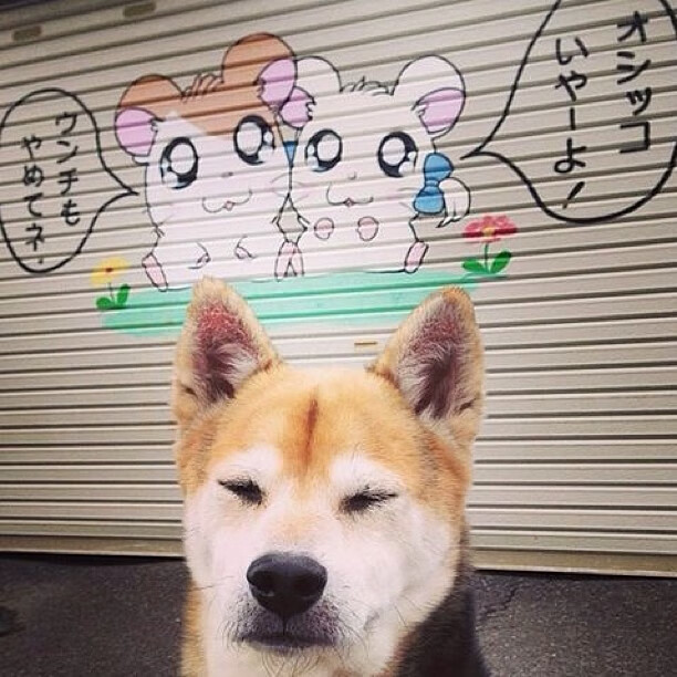 公牛提前终结悬念掘金，塔图姆成为关键先生