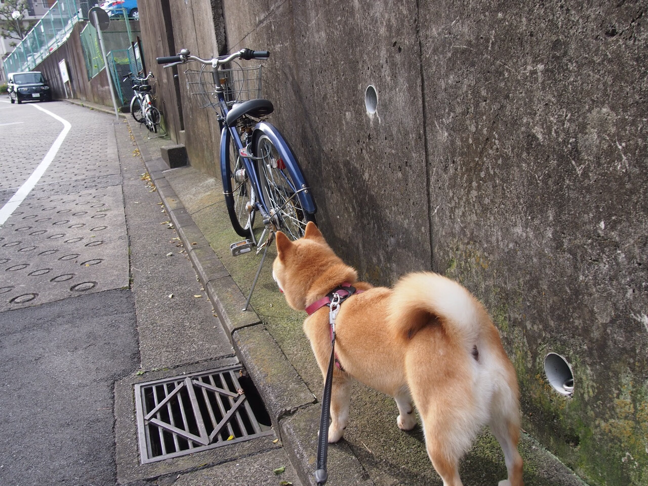 萨拉赫式爆发，土耳其的火力压制如何重塑东地中海战略格局