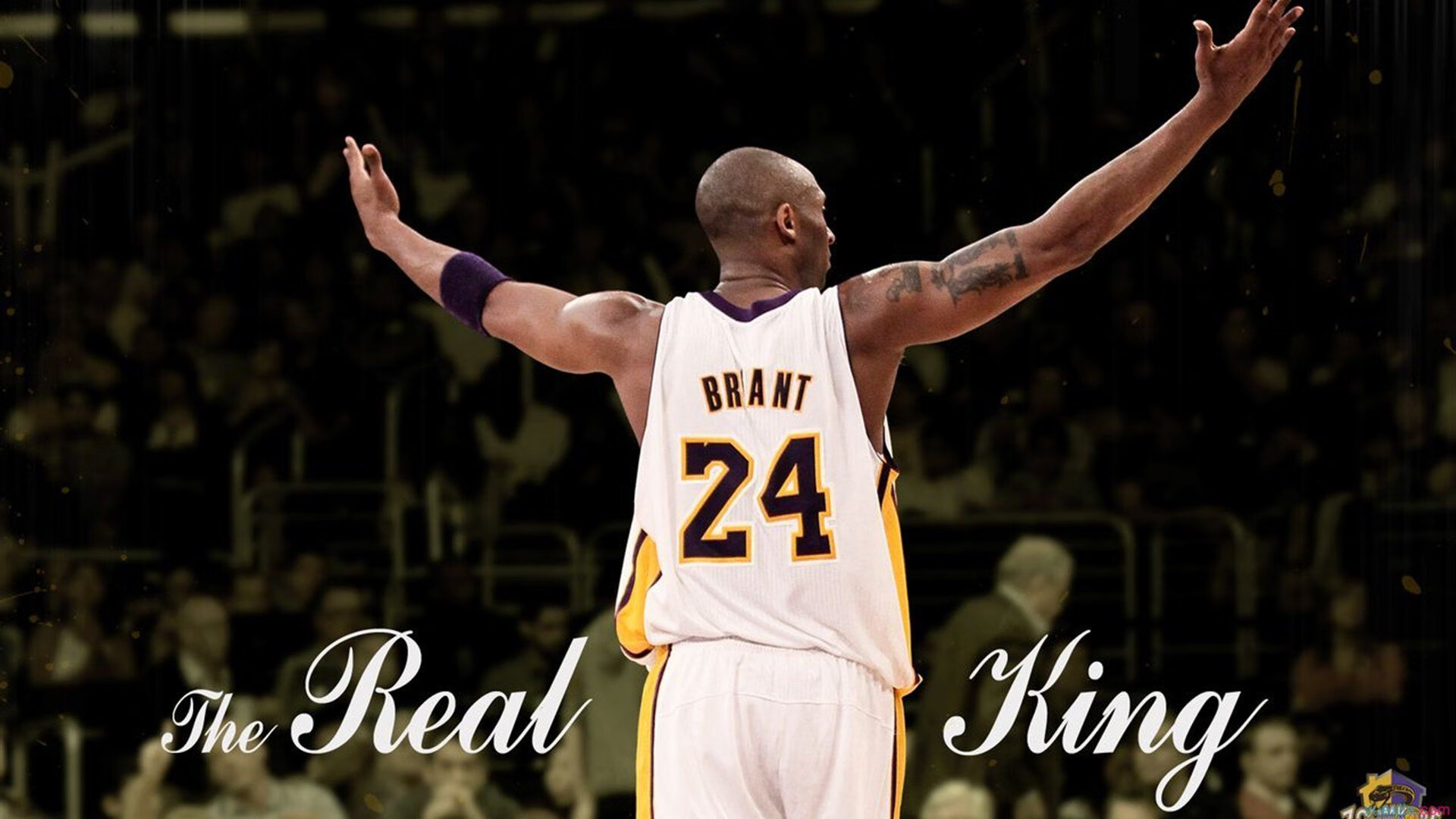 维尼修斯一剑封喉，智利淘汰苏格兰背后的战术革命